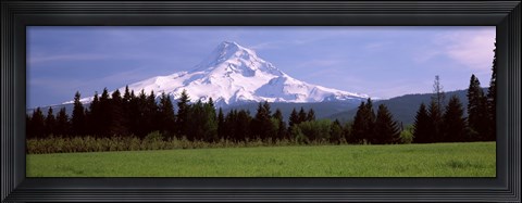 Framed Field with a snowcapped mountain in the background, Mt Hood, Oregon (horizontal) Print