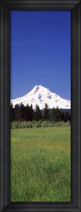Framed Field with a snowcapped mountain in the background, Mt Hood, Oregon (vertical) Print