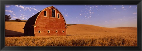 Framed Old barn in a wheat field, Palouse, Whitman County, Washington State Print