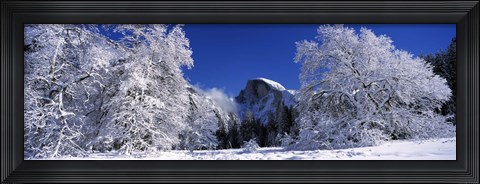 Framed Half Dome, Yosemite National Park, Mariposa County, California Print