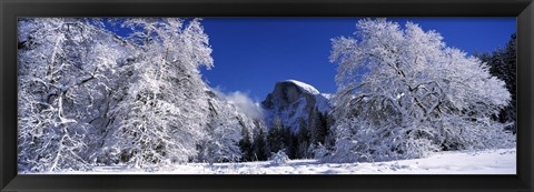 Framed Half Dome, Yosemite National Park, Mariposa County, California Print