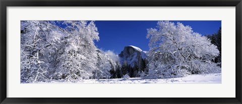 Framed Half Dome, Yosemite National Park, Mariposa County, California Print