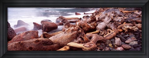 Framed Driftwood on the beach, Oregon Coast, Oregon, USA Print