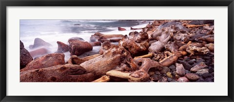 Framed Driftwood on the beach, Oregon Coast, Oregon, USA Print