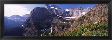 Framed Wildflowers with mountain range in the background, US Glacier National Park, Montana, USA Print