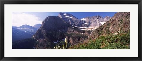 Framed Wildflowers with mountain range in the background, US Glacier National Park, Montana, USA Print