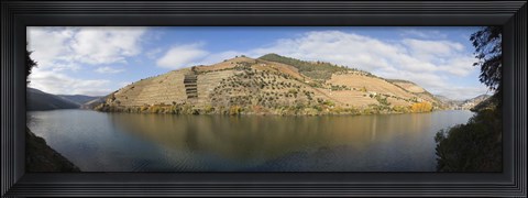 Framed Vineyards at the riverside, Cima Corgo, Duoro River, Douro Valley, Portugal Print