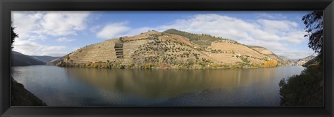 Framed Vineyards at the riverside, Cima Corgo, Duoro River, Douro Valley, Portugal Print