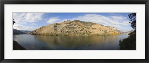 Framed Vineyards at the riverside, Cima Corgo, Duoro River, Douro Valley, Portugal Print