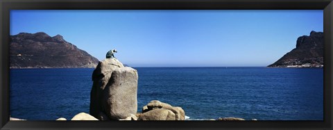 Framed Bronze leopard statue on a boulder, Hout Bay, Cape Town, Western Cape Province, South Africa Print