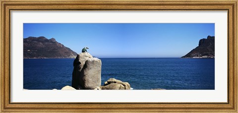 Framed Bronze leopard statue on a boulder, Hout Bay, Cape Town, Western Cape Province, South Africa Print