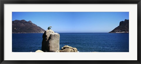 Framed Bronze leopard statue on a boulder, Hout Bay, Cape Town, Western Cape Province, South Africa Print