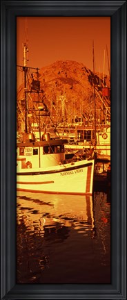 Framed Fishing boats in the bay, Morro Bay, San Luis Obispo County, California (vertical) Print