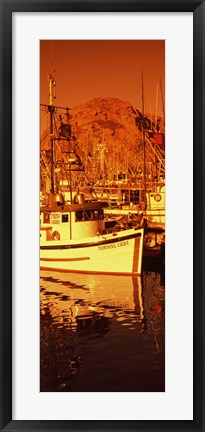 Framed Fishing boats in the bay, Morro Bay, San Luis Obispo County, California (vertical) Print