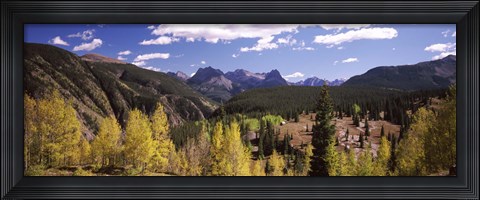 Framed Aspen trees with mountains in the background, Colorado, USA Print