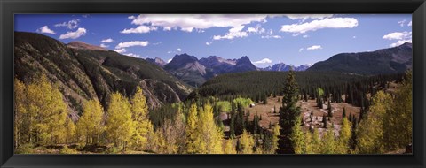 Framed Aspen trees with mountains in the background, Colorado, USA Print