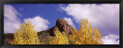 Framed Clouds above aspen trees in autumn, Colorado Print