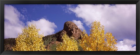 Framed Clouds above aspen trees in autumn, Colorado Print