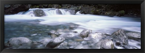 Framed River, Hollyford River, Fiordland National Park, South Island, New Zealand Print