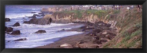 Framed Beach in San Luis Obispo County, California Print