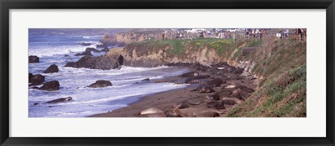 Framed Beach in San Luis Obispo County, California Print