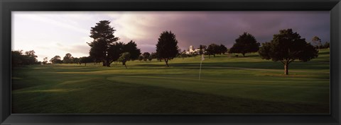 Framed Trees in a golf course, Montecito Country Club, Santa Barbara, California, USA Print