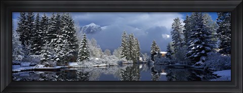 Framed Reflection of tree in a creek, Spring Creek, Mt Rundle, Canmore, Alberta, Canada Print