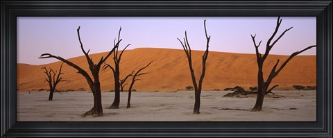 Framed Dead trees in a desert at sunrise, Dead Vlei, Sossusvlei, Namib-Naukluft National Park, Namibia Print