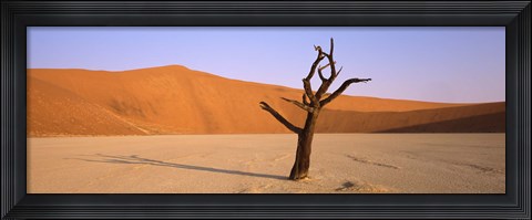 Framed Dead tree in a desert, Dead Vlei, Sossusvlei, Namib-Naukluft National Park, Namibia Print