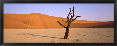 Framed Dead tree in a desert, Dead Vlei, Sossusvlei, Namib-Naukluft National Park, Namibia Print