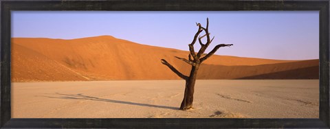Framed Dead tree in a desert, Dead Vlei, Sossusvlei, Namib-Naukluft National Park, Namibia Print