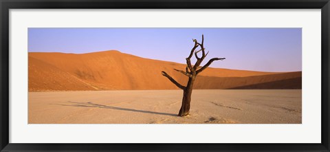 Framed Dead tree in a desert, Dead Vlei, Sossusvlei, Namib-Naukluft National Park, Namibia Print