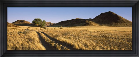 Framed Trails passing through a desert, Namibia Print