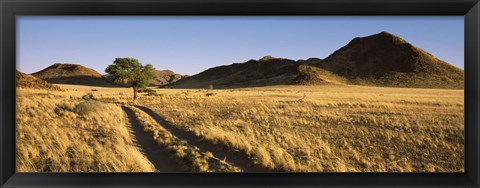 Framed Trails passing through a desert, Namibia Print