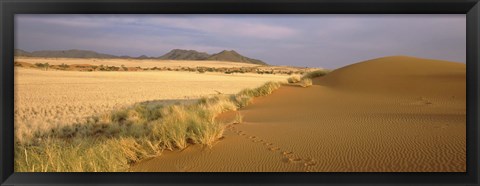 Framed Animal tracks on the sand dunes towards the open grasslands, Namibia Print