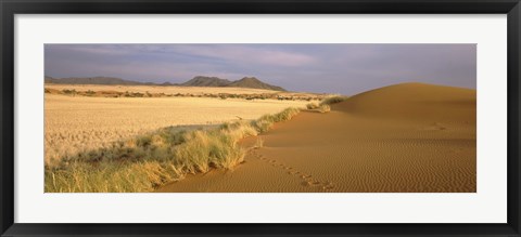 Framed Animal tracks on the sand dunes towards the open grasslands, Namibia Print