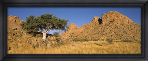 Framed Tree in the Namib Desert, Namibia Print