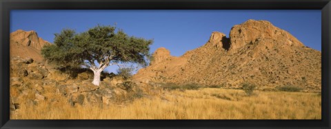 Framed Tree in the Namib Desert, Namibia Print