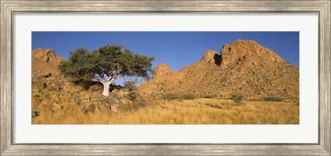 Framed Tree in the Namib Desert, Namibia Print