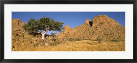 Framed Tree in the Namib Desert, Namibia Print