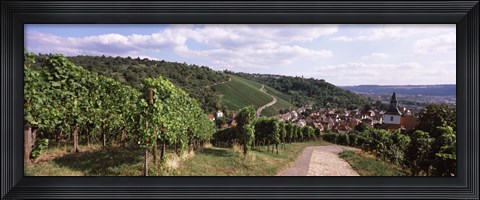 Framed Vineyards, Obertuerkheim, Stuttgart, Baden-Wurttemberg, Germany Print