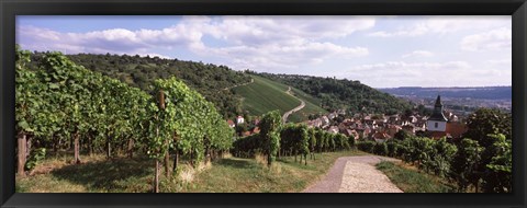 Framed Vineyards, Obertuerkheim, Stuttgart, Baden-Wurttemberg, Germany Print