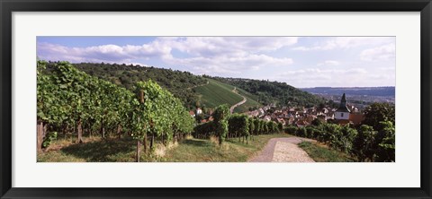 Framed Vineyards, Obertuerkheim, Stuttgart, Baden-Wurttemberg, Germany Print