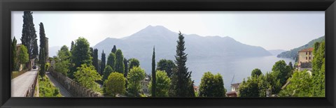 Framed Trees with a lake in background, Lake Como, Villa Passalacqua, Moltrasio, Como, Lombardy, Italy Print