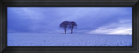Framed Twin trees in a snow covered landscape, Warter Wold, Warter, East Yorkshire, England Print