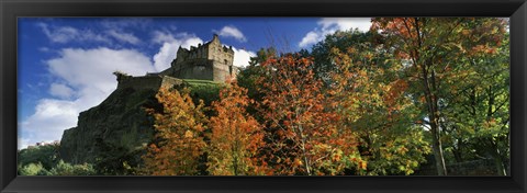 Framed Castle viewed through a garden, Edinburgh Castle, Edinburgh, Scotland Print