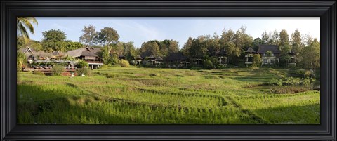 Framed Rice fieldst, Chiang Mai, Thailand Print