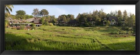 Framed Rice fieldst, Chiang Mai, Thailand Print