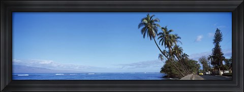 Framed Palm trees on the coast, Lahaina, Maui, Hawaii, USA Print