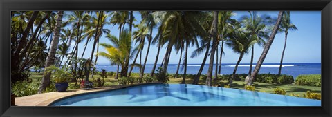 Framed Palm Trees in Maui, Hawaii (horizontal) Print